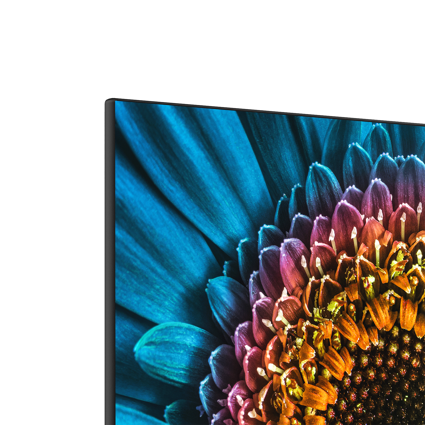 Frameless Bezel (EM2FPAB24B)