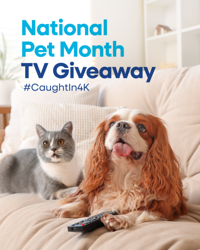 National Pet Month Giveaway