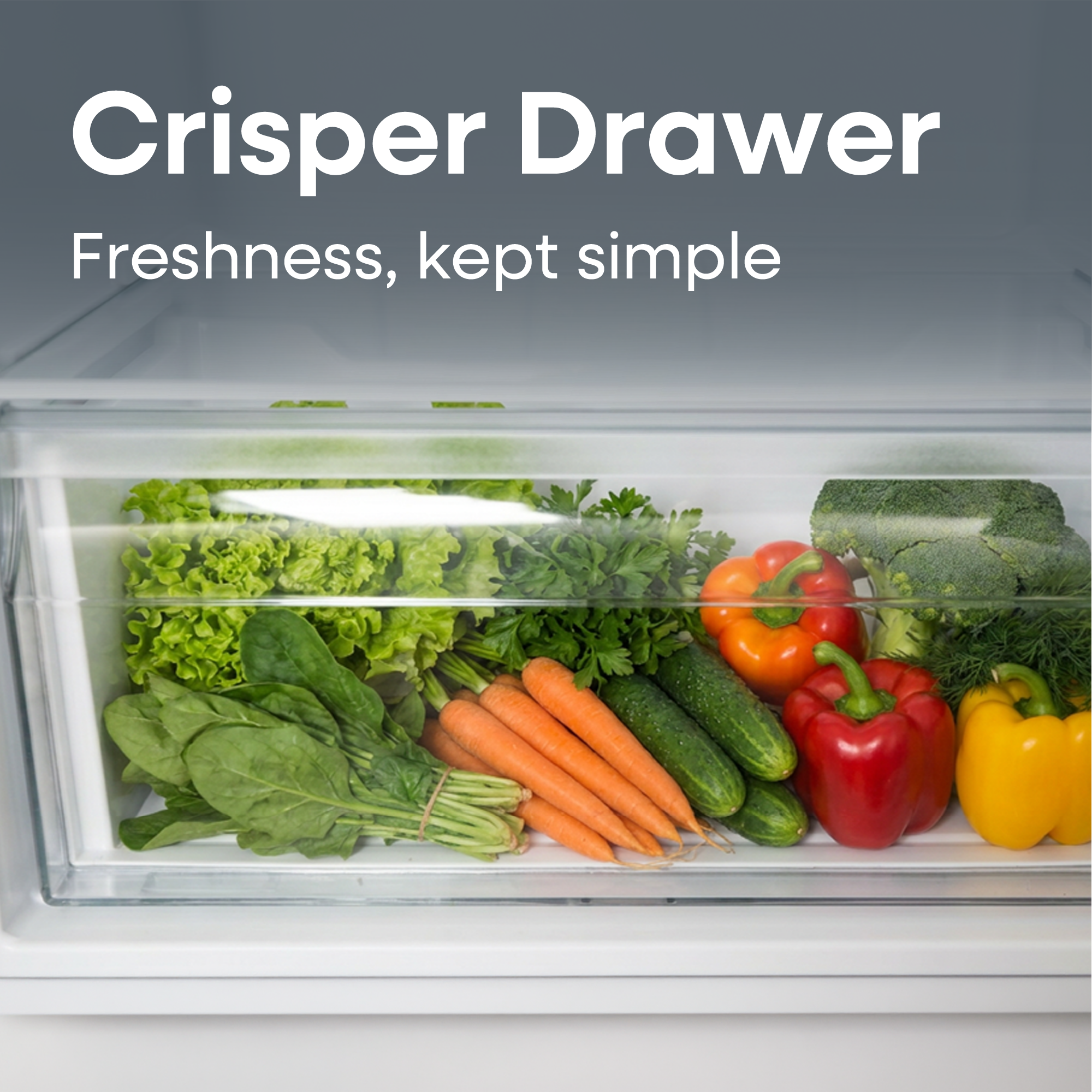 7.4 cu. ft. Top Freezer Refrigerator - White (ERT74MEW) | Element